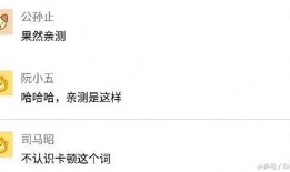 小二直播爆料视频大全集,揭秘幕后真相，带你领略直播界的风云变幻